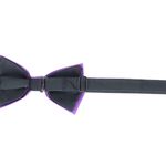 Fashion, accesorii si bijuterii - Barbati - Accesorii barbati - Cravate si papioane barbati - Papion barbatesc, Buticcochet, din material sintetic, 7x12 cm, Mov - PAP311 - Infinity.ro