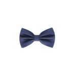 Fashion, accesorii si bijuterii - Barbati - Accesorii barbati - Cravate si papioane barbati - Papion barbatesc, Buticcochet, din material sintetic, 7x12 cm, Bleumarin - PAP285 - Infinity.ro