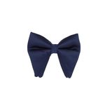 Fashion, accesorii si bijuterii - Barbati - Accesorii barbati - Cravate si papioane barbati - Papion barbatesc, Buticcochet, din material sintetic, 10x12 cm, Bleumarin - PAP346 - Infinity.ro
