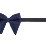 Fashion, accesorii si bijuterii - Barbati - Accesorii barbati - Cravate si papioane barbati - Papion barbatesc, Buticcochet, din material sintetic, 10x12 cm, Bleumarin - PAP346 - Infinity.ro