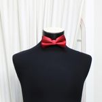 Fashion, accesorii si bijuterii - Barbati - Accesorii barbati - Cravate si papioane barbati - Papion barbatesc, Buticcochet, din material sintetic, 7x12 cm, Rosu - PAP305 - Infinity.ro