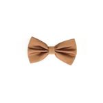 Fashion, accesorii si bijuterii - Barbati - Accesorii barbati - Cravate si papioane barbati - Papion barbatesc, Buticcochet, din material sintetic, 7x12 cm, Aramiu - PAP284 - Infinity.ro