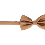 Fashion, accesorii si bijuterii - Barbati - Accesorii barbati - Cravate si papioane barbati - Papion barbatesc, Buticcochet, din material sintetic, 7x12 cm, Aramiu - PAP284 - Infinity.ro