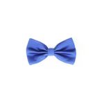 Fashion, accesorii si bijuterii - Barbati - Accesorii barbati - Cravate si papioane barbati - Papion barbatesc, Buticcochet, din material sintetic, 7x12 cm, Albastru electric - PAP260 - Infinity.ro