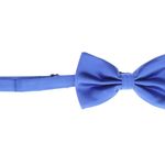 Fashion, accesorii si bijuterii - Barbati - Accesorii barbati - Cravate si papioane barbati - Papion barbatesc, Buticcochet, din material sintetic, 7x12 cm, Albastru electric - PAP260 - Infinity.ro