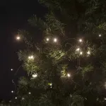 Casa si Gradina - Corpuri si surse de iluminat - Iluminat exterior - Instalatii luminoase exterior - Sir lumini 100 LED 5m alb cald 220-240V PHENOM LIGHTING TECHNOLOGY - Infinity.ro