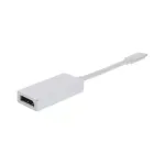 TV, Audio-Video si Foto - Accesorii TV si audio - Cabluri si adaptoare video - Adaptor USB Type C 3.1 la DisplayPort 4K 60Hz Well - Infinity.ro
