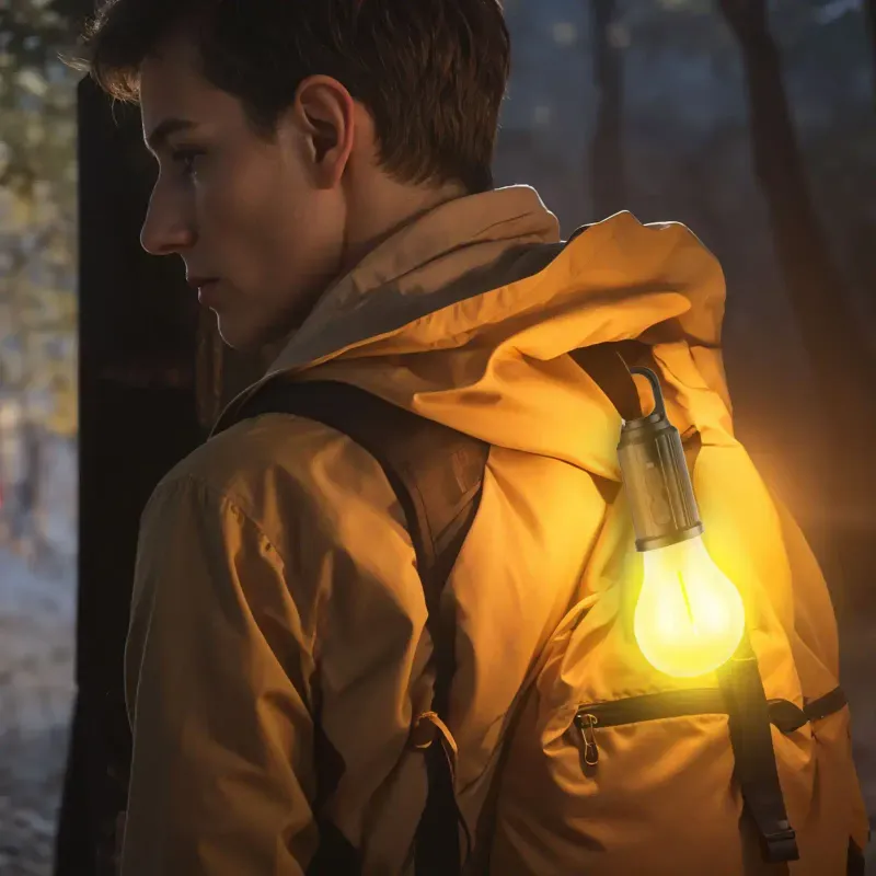Casa si Gradina - Corpuri si surse de iluminat - Iluminat exterior - Lampi solare - Lampa solara suspendata forma bec LED 5W 100lm +USB-C 400mAh PHENOM 18585 - Infinity.ro