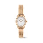 Fashion, accesorii si bijuterii - Femei - Bijuterii femei - Ceasuri femei - Ceas dama Daniel Wellington Ophelia Mini DW00100940 - Infinity.ro