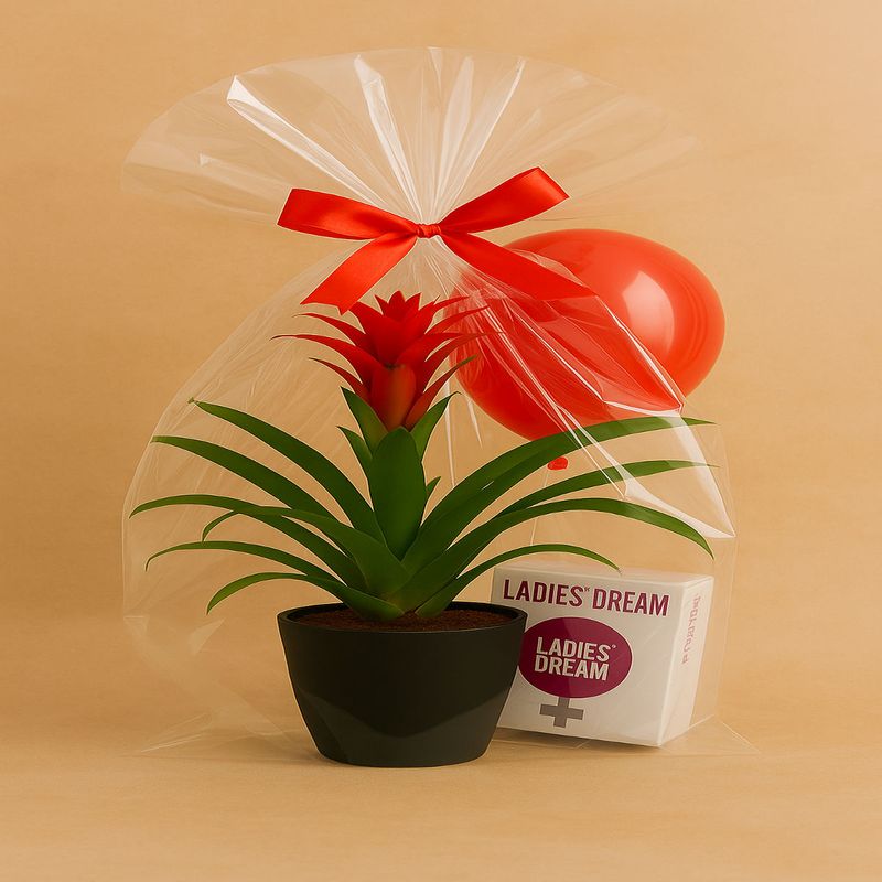 Casa si Gradina - Gradinarit si plante - Plante si ghivece - Plante in ghiveci - Cadoul special pentru ea - Infinity.ro