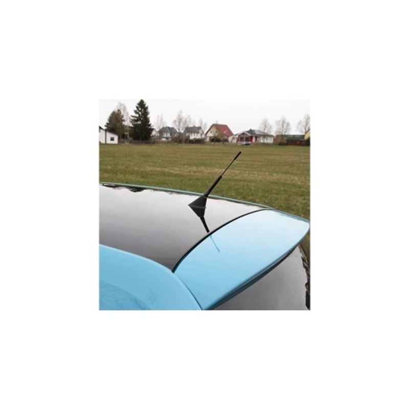 Auto si Moto - Electronice auto - Multimedia auto - Rezerva Antena Auto Universala 16.5CM Neagra - Infinity.ro