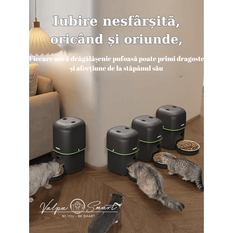 Petshop - Accesorii petshop - Castroane si adapatori - Hranitor automat inteligent cu wireless, camera video HD si alimentare duala, 4L - Infinity.ro