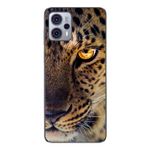 Laptop, Telefoane si Tablete - Telefoane mobile si accesorii - Accesorii Telefoane - Huse telefoane - Husa compatibila cu Motorola Moto G23 Silicon Gel Tpu Model Leopard - Infinity.ro