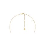 Fashion, accesorii si bijuterii - Femei - Bijuterii femei - Coliere femei - Colier dama Fossil Sadie JF04856710 - Infinity.ro