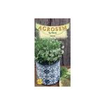 Casa si Gradina - Gradinarit si plante - Plante si ghivece - Bulbi, seminte si rasaduri - Seminte, Anason Pimpinella Anisum 1gr - Infinity.ro
