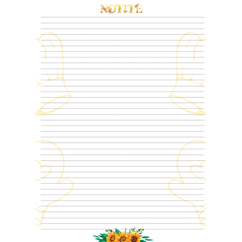 Carti si Birotica - Rechizite - Caiete - Caiete dictando - Caiet pentru Retete, A4, cu Spirala, 110 pagini, Coperta personalizabila - Infinity.ro