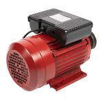Casa si Gradina - Gradinarit si plante - Instalatii si accesorii pentru irigatii - Pompe apa - Motor electric monofazat Troian 3 kW, 3000 Rpm - Infinity.ro