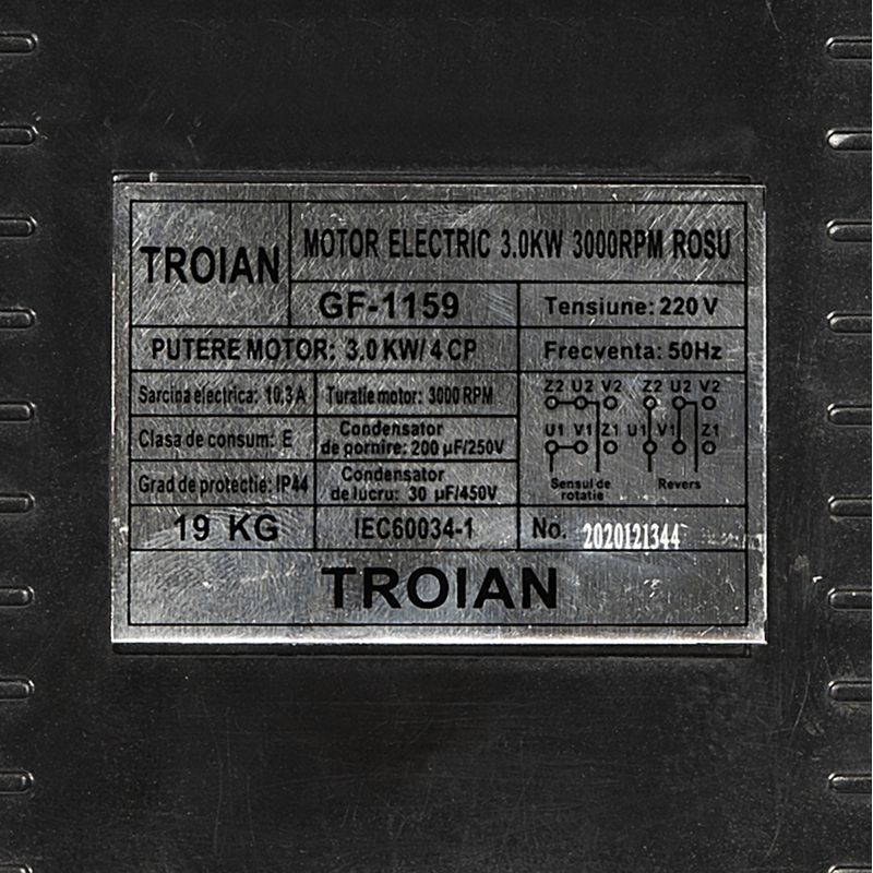 Casa si Gradina - Gradinarit si plante - Instalatii si accesorii pentru irigatii - Pompe apa - Motor electric monofazat Troian 3 kW, 3000 Rpm - Infinity.ro
