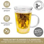 Casa si Gradina - Bucatarie si vesela - Vase pentru gatit - Ceainice si infuzoare - Cana pentru ceai Creano, 400 ml, sticla borosilicata, cu infuzor si capac din sticla - Infinity.ro