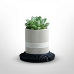 Casa si Gradina - Gradinarit si plante - Plante si ghivece - Ghivece si suporturi - Ghiveci Decorativ Minimalist cu Farfurie Striata, Alb, 10 cm - Infinity.ro