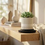 Casa si Gradina - Gradinarit si plante - Plante si ghivece - Ghivece si suporturi - Ghiveci Decorativ Minimalist cu Farfurie Striata, Alb, 10 cm - Infinity.ro