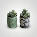 Casa si Gradina - Gradinarit si plante - Plante si ghivece - Ghivece si suporturi - Ghiveci decorativ verde, 14 cm, cu drenaj integrat, textura organica - Infinity.ro