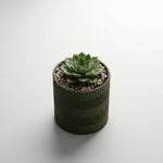 Casa si Gradina - Gradinarit si plante - Plante si ghivece - Ghivece si suporturi - Ghiveci decorativ Zigzag, Verde Oliv, 12 cm - Infinity.ro