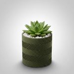 Casa si Gradina - Gradinarit si plante - Plante si ghivece - Ghivece si suporturi - Ghiveci decorativ Zigzag, Verde Oliv, 12 cm - Infinity.ro