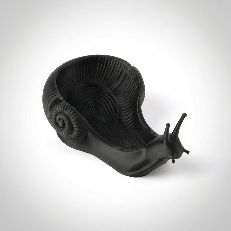 Casa si Gradina - Decoratiuni - Obiecte decorative - Vaze si boluri decorative - Bol Decorativ Sculptural Melc, Negru, 18 cm - Infinity.ro