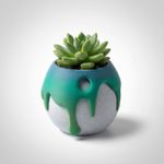 Casa si Gradina - Gradinarit si plante - Plante si ghivece - Ghivece si suporturi - Ghiveci pentru Suculente cu Aspect Fluid, Verde, 29 cm - Infinity.ro