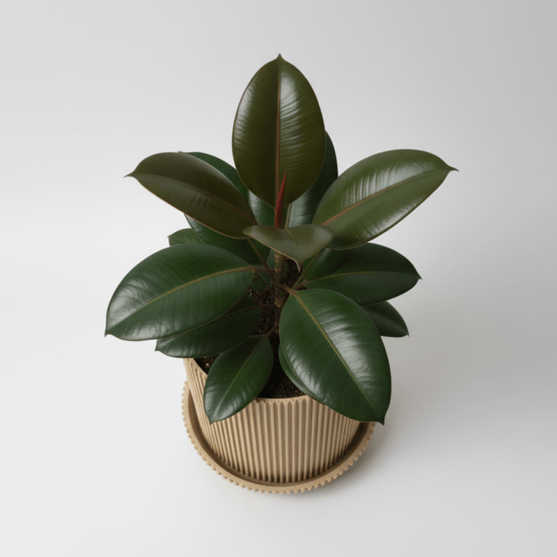 Casa si Gradina - Gradinarit si plante - Plante si ghivece - Ghivece si suporturi - Ghiveci decorativ Vertical Lines, Desert Beige, materiale eco friendly, cu tavita lipita, plastic PLA, diametru 12cm, inaltime 15cm - Infinity.ro