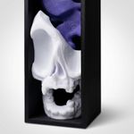 Carti si Birotica - Carti - Accesorii pentru cititori - Insertie Decorativa pentru Biblioteca, Negru, 17 cm - Infinity.ro