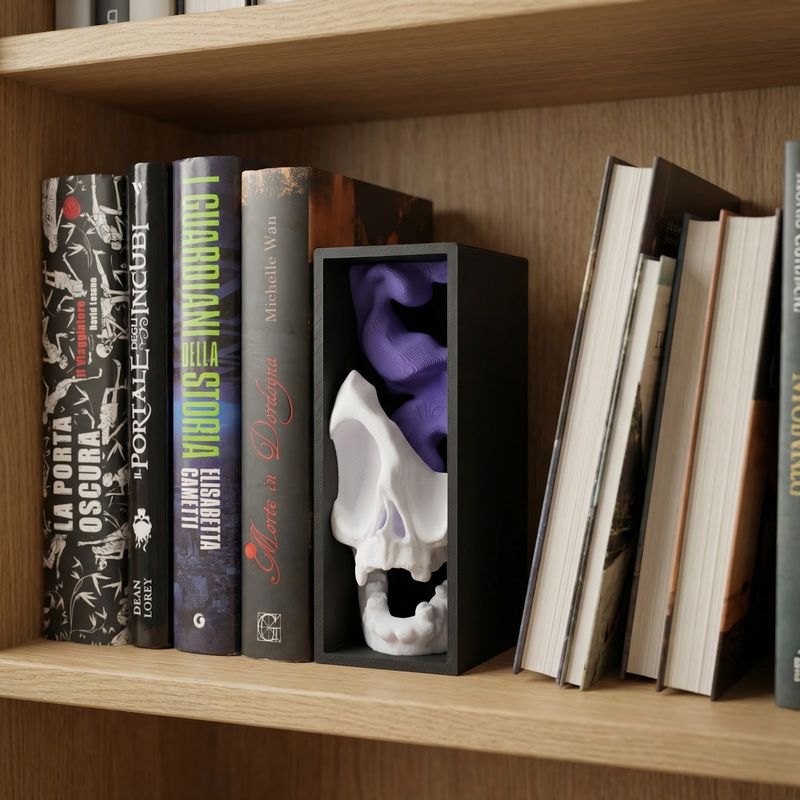 Carti si Birotica - Carti - Accesorii pentru cititori - Insertie Decorativa pentru Biblioteca, Negru, 17 cm - Infinity.ro