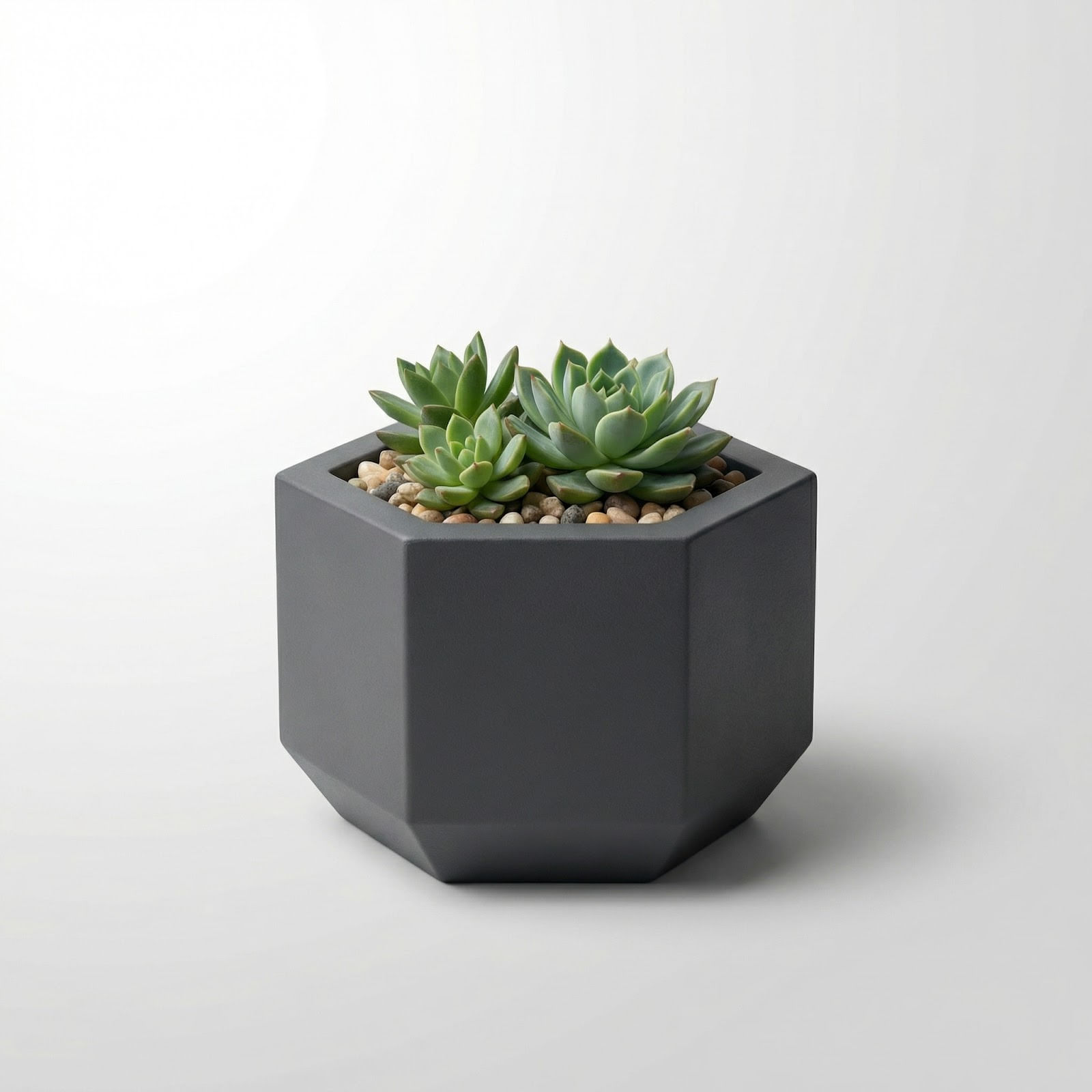 Ghiveci Decorativ Octogonal Minimalist, Negru, 13 cm
