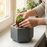 Casa si Gradina - Gradinarit si plante - Plante si ghivece - Ghivece si suporturi - Ghiveci Decorativ Octogonal Minimalist, Negru, 13 cm - Infinity.ro