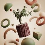 Casa si Gradina - Gradinarit si plante - Plante si ghivece - Ghivece si suporturi - Ghiveci Decorativ cu Textura Ondulata, Rosu, 13 cm - Infinity.ro