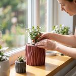 Casa si Gradina - Gradinarit si plante - Plante si ghivece - Ghivece si suporturi - Ghiveci Decorativ cu Textura Ondulata, Rosu, 13 cm - Infinity.ro