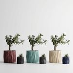 Casa si Gradina - Gradinarit si plante - Plante si ghivece - Ghivece si suporturi - Ghiveci Decorativ cu Textura Ondulata, Rosu, 13 cm - Infinity.ro