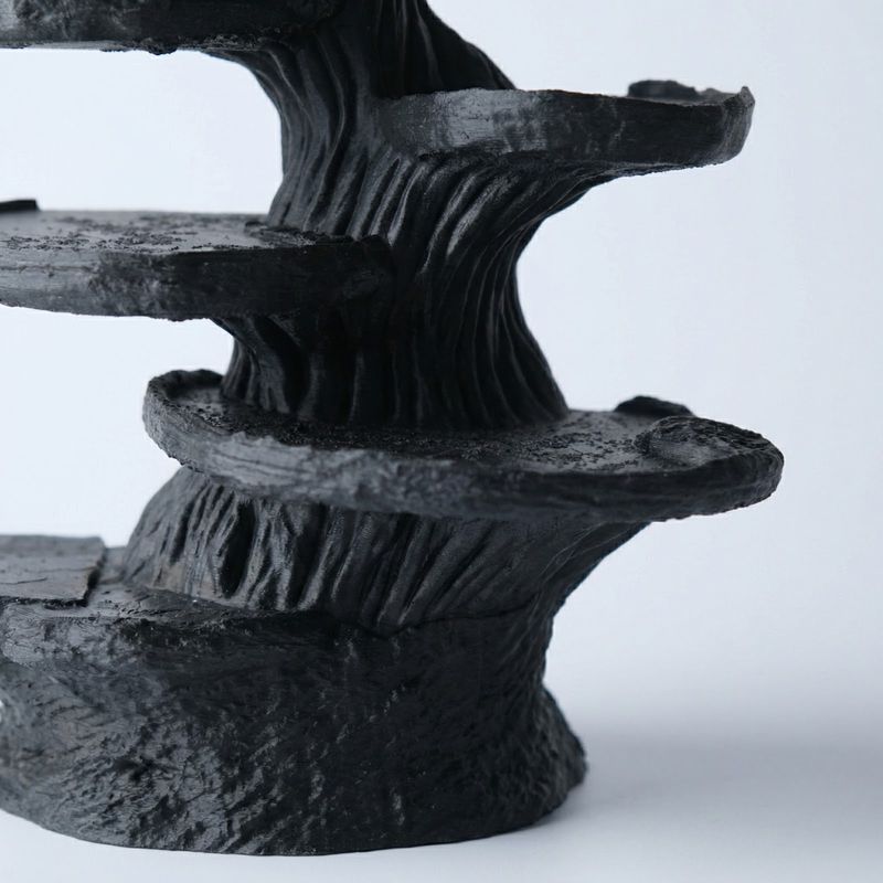 Fashion, accesorii si bijuterii - Femei - Bijuterii femei - Cutii bijuterii - Organizator Bijuterii Tip Raft Sculptural, Negru, 15 cm - Infinity.ro