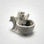 Casa si Gradina - Decoratiuni - Obiecte decorative - Vaze si boluri decorative - Bol Decorativ Fantomatic, Ivory White, 15 cm - Infinity.ro