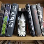 Carti si Birotica - Carti - Accesorii pentru cititori - Book Nook Decorativ Craniu Bufon Alb, 17 cm - Infinity.ro