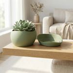 Casa si Gradina - Gradinarit si plante - Plante si ghivece - Ghivece si suporturi - Ghiveci Decorativ cu Textura Mata si Farfurie, Verde, 17 cm - Infinity.ro