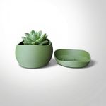 Casa si Gradina - Gradinarit si plante - Plante si ghivece - Ghivece si suporturi - Ghiveci Decorativ cu Textura Mata si Farfurie, Verde, 17 cm - Infinity.ro