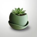 Casa si Gradina - Gradinarit si plante - Plante si ghivece - Ghivece si suporturi - Ghiveci Decorativ cu Textura Mata si Farfurie, Verde, 17 cm - Infinity.ro