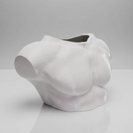 Casa si Gradina - Gradinarit si plante - Plante si ghivece - Ghivece si suporturi - Ghiveci decorativ 3D Apollo Form, design minimalist, material PLA, culoare mata, 30x45cm, plastic PLA, diametru 10cm, inaltime totala 13cm - Infinity.ro
