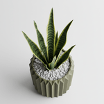 Casa si Gradina - Gradinarit si plante - Plante si ghivece - Ghivece si suporturi - Ghiveci decorativ cu design origami, culoare Verde Oliv, plastic PLA, diametru 12cm, inaltime 15cm - Infinity.ro