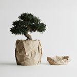 Casa si Gradina - Gradinarit si plante - Plante si ghivece - Ghivece si suporturi - Set Ghiveci decorativ si Tava de chei Crumpled Design, culoare Sandstone Beige, plastic PLA, ghiveci diametru 12cm, inaltime 16cm - Infinity.ro