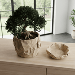 Casa si Gradina - Gradinarit si plante - Plante si ghivece - Ghivece si suporturi - Set Ghiveci decorativ si Tava de chei Crumpled Design, culoare Sandstone Beige, plastic PLA, ghiveci diametru 12cm, inaltime 16cm - Infinity.ro