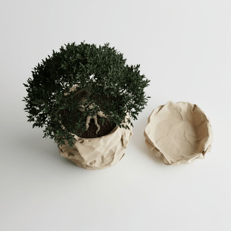 Casa si Gradina - Gradinarit si plante - Plante si ghivece - Ghivece si suporturi - Set Ghiveci decorativ si Tava de chei Crumpled Design, culoare Sandstone Beige, plastic PLA, ghiveci diametru 12cm, inaltime 16cm - Infinity.ro
