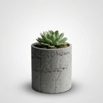 Casa si Gradina - Gradinarit si plante - Plante si ghivece - Ghivece si suporturi - Ghiveci Decorativ cu Textura de Beton, Gri, 12 cm - Infinity.ro